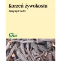 FLOS ŻYWOKOST  KORZEŃ 50G