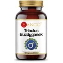 Yango Tribulus Buzdyganek 540 mg 90 k ukł. moczowy