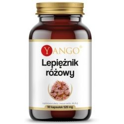 Yango Lepiężnik Różowy 520 mg 90 k przeciwzapalny