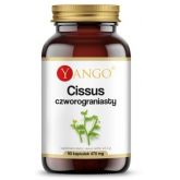 Yango Cissus czworograniasty 470 mg 90 k