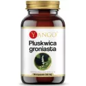 Yango Pluskwica groniasta 390 mg 90 k menopauza
