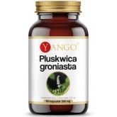 Yango Pluskwica groniasta 390 mg 90 k menopauza