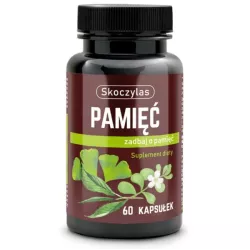 Skoczylas Pamięć 60 kap Zadbaj o pamięć Skoczylas Pamięć 60 kap Zadbaj o pamięć