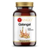 Yango Galangal 90 k źródło flawonoidów