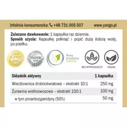 Yango Wierzbownica dla kobiet 90 k układ moczowy Yango Wierzbownica dla kobiet 90 k układ moczowy