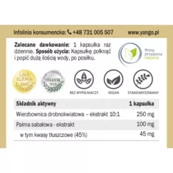 Yango Wierzbownica dla mężczyzn 90 k układ moczowy