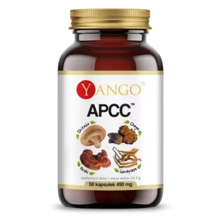 Yango Apcc 100 K. Kompleks Grzybów