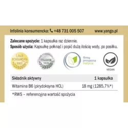 Yango Witamina B6 90 k. na stres Yango Witamina B6 90 k. na stres