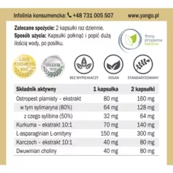 Yango Hepasiv 90 k Wątroba Yango Hepasiv 90 k Wątroba