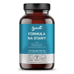 Panaseus Formuła na stawy 50 k zdrowe stawy Panaseus Formuła na stawy 50 k zdrowe stawy