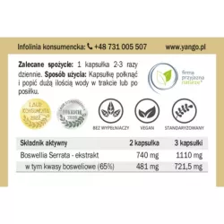 Yango Boswellia 65Tm 60 t Kadzidłowiec Yango Boswellia 65Tm 60 t Kadzidłowiec