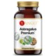 Yango Astragalus Premium 500 mg 90 k