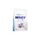 Allnutrition Whey protein 908 g Blueberry białko