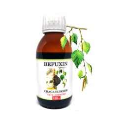 Befungin Czaga Ekstrakt 120 ml