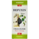 Befungin Czaga Elixir 120 ml bez alkoholu