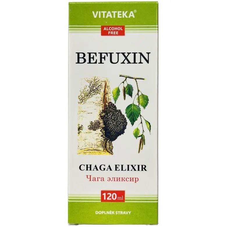 Befungin Czaga Elixir 120 ml bez alkoholu