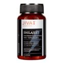 JIVA Pure Shilajit 60 k