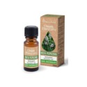 Vera Nord Mięta Pieprzowa Olejek 100% 10Ml