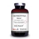Kenay Berberyna Rebersa 300 kapsułek