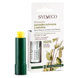 Sylveco Brzozowa pomadka ochronna z betuliną