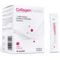 Norsa Pharma Collagen Nucleo smak malinowy 30 sasz