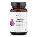 Aura Herbals Ostropest Plamisty 80% Sylimaryny 90