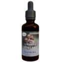 Mirlek Nalewka SHITAKE Wątroba 50 ml