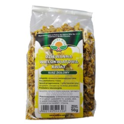 Natura Wita Dziewanna Kwiat 50G Natura Wita Dziewanna Kwiat 50G