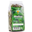 Natura Wita Melisa 25 g