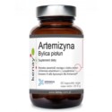 Kenay Artemizyna Bylica piołun 60 k