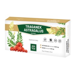 Ginseng Poland Traganek Astragalus 10 X 10 fiolek