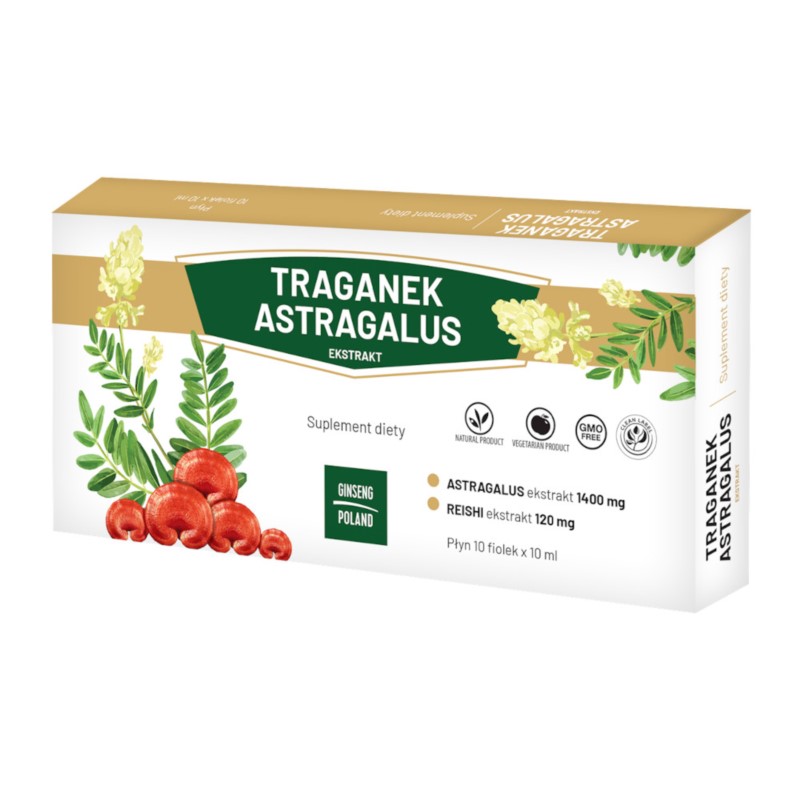 Ginseng Poland Traganek Astragalus 10 X 10 fiolek