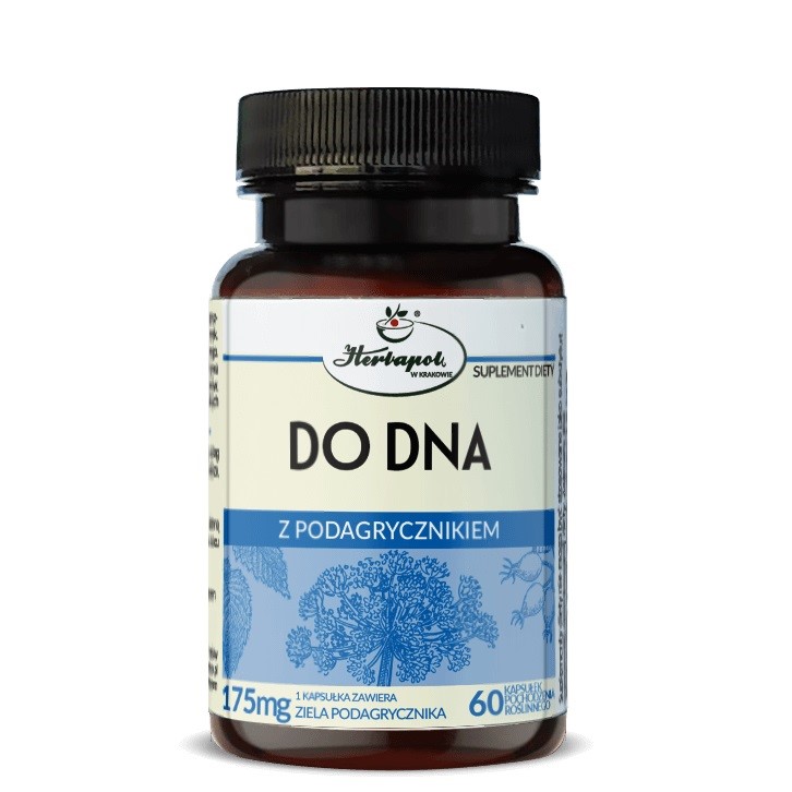 Herbapol Do Dna z podagrycznikiem 60 kap
