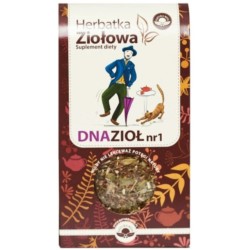 Natura Wita Herbatka Ziołowa Dnazioł Nr 1 80 G