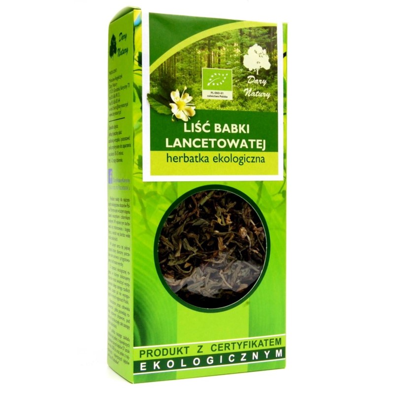Dary Natury Babka Lancetowata Liść 25G Eko