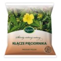 Kawon Kłącze Pięciornika 50 g