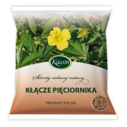 Kawon Kłącze Pięciornika 50 g