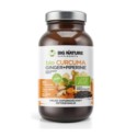 Big Nature Curcuma Ginger Piperine BIO 90 t.