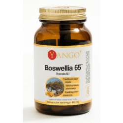 Yango Boswellia 65™ 60 kaps.