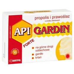 BARTPOL API GARDEN FORTE PROPOLIS SMAK WIŚNIOWY 16