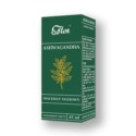 Flos Ashwagandha  macerat olejowy 45 ml