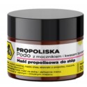 API Effect Propoliska PODO maść do stóp 50 g