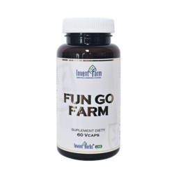 Invent Farm Fun go Farm 60 K