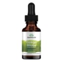 Swanson Ginkgo Biloba Liquid 29,6 Ml