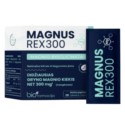 Biopharmacia Magnus Rex 350 dyglicynian magnezu 28