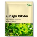 Flos Ginkgo biloba Liść miłorzębu japońskiego 50G