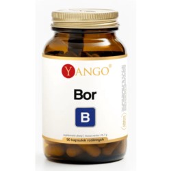 Yango Bor 90 k