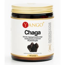 Yango Chaga 50 g
