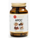 Yango APCC 50 k
