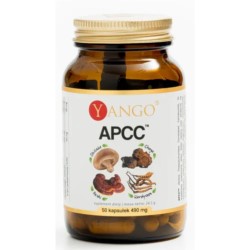 Yango APCC 50 k
